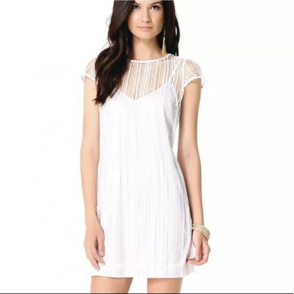 Bebe lace dress